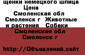 щенки немецкого шпица › Цена ­ 12 000 - Смоленская обл., Смоленск г. Животные и растения » Собаки   . Смоленская обл.,Смоленск г.